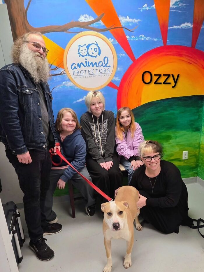 Dogs Pick Their Humans? This Shelter Made It Happen And It's Adorable (42 Pics + 1 Video)