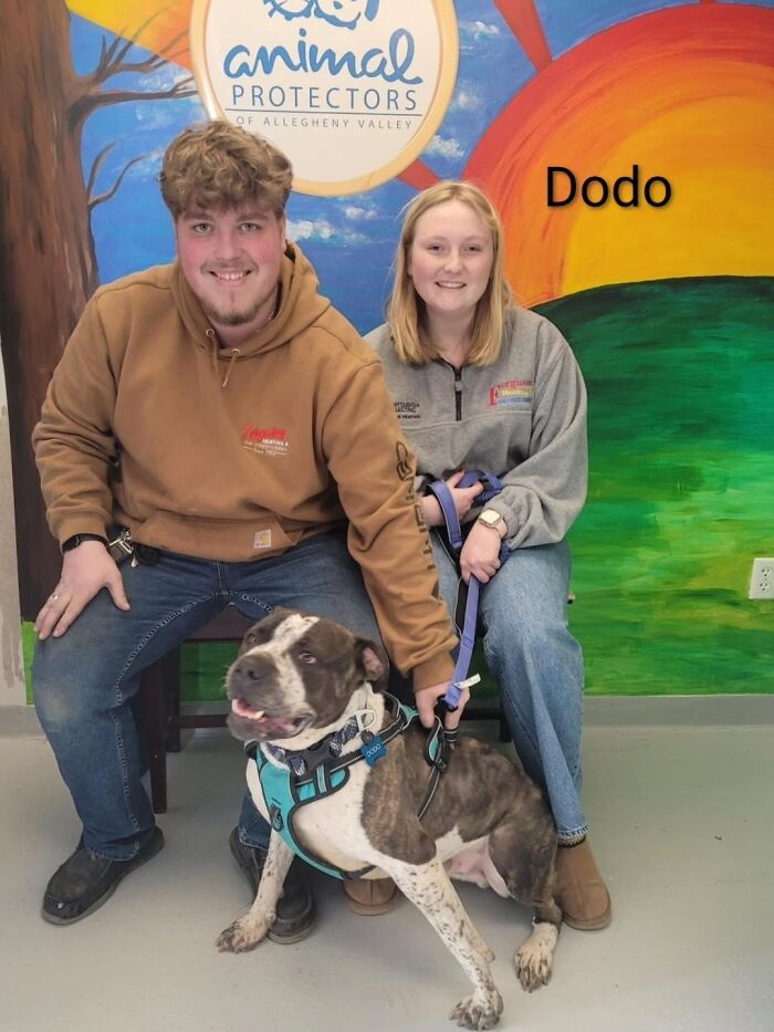 Dogs Pick Their Humans? This Shelter Made It Happen And It's Adorable (42 Pics + 1 Video)