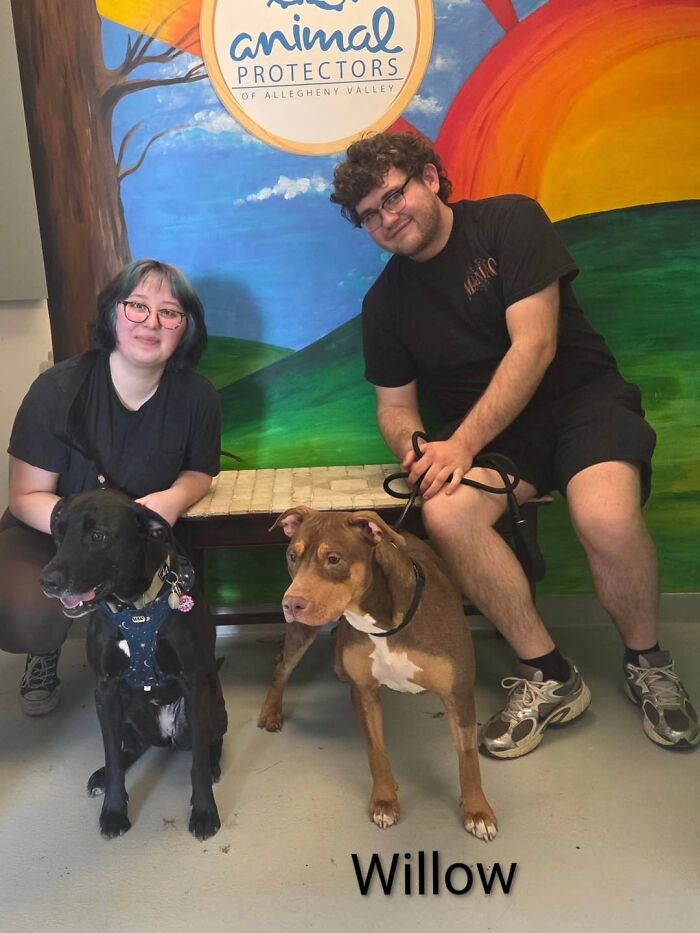 Dogs Pick Their Humans? This Shelter Made It Happen And It's Adorable (42 Pics + 1 Video)