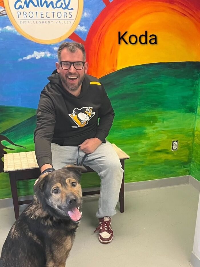 Dogs Pick Their Humans? This Shelter Made It Happen And It's Adorable (42 Pics + 1 Video)
