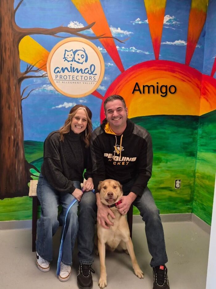 Dogs Pick Their Humans? This Shelter Made It Happen And It's Adorable (42 Pics + 1 Video)