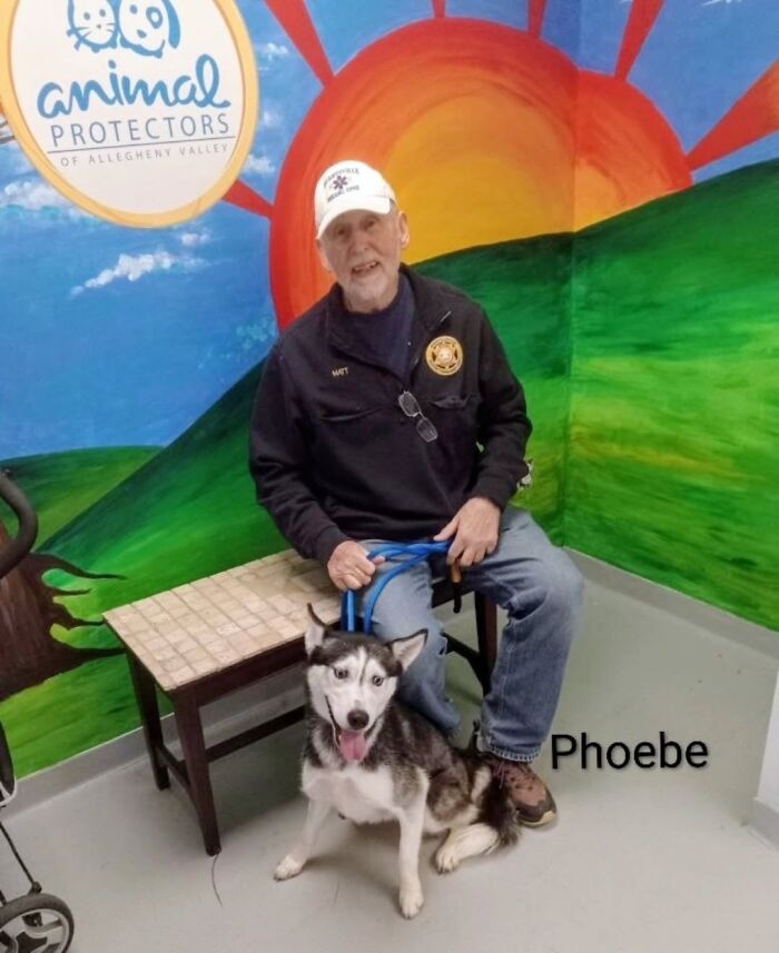 Dogs Pick Their Humans? This Shelter Made It Happen And It's Adorable (42 Pics + 1 Video)