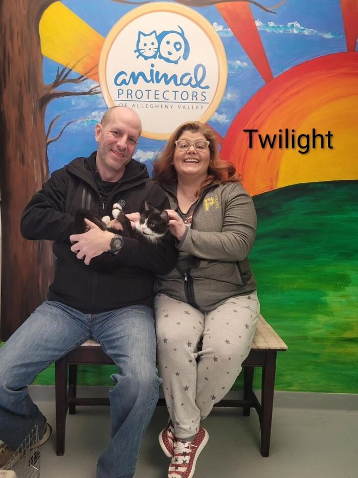 Dogs Pick Their Humans? This Shelter Made It Happen And It's Adorable (42 Pics + 1 Video)