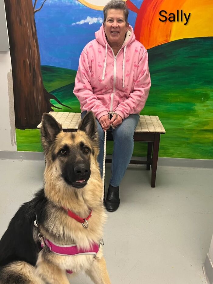 Dogs Pick Their Humans? This Shelter Made It Happen And It's Adorable (42 Pics + 1 Video)