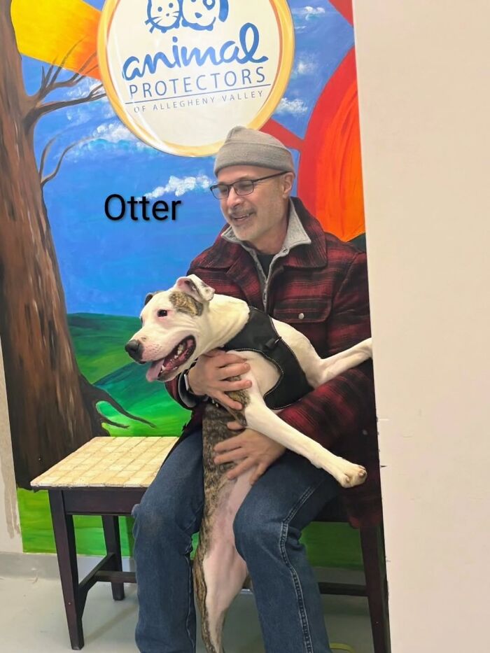 Dogs Pick Their Humans? This Shelter Made It Happen And It's Adorable (42 Pics + 1 Video)
