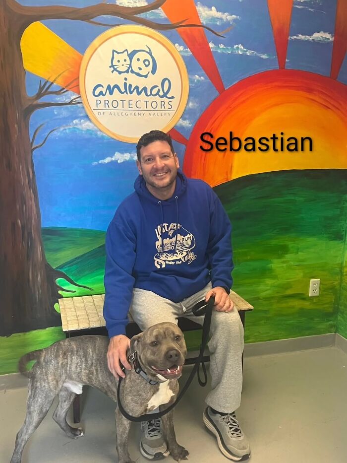 Dogs Pick Their Humans? This Shelter Made It Happen And It's Adorable (42 Pics + 1 Video)