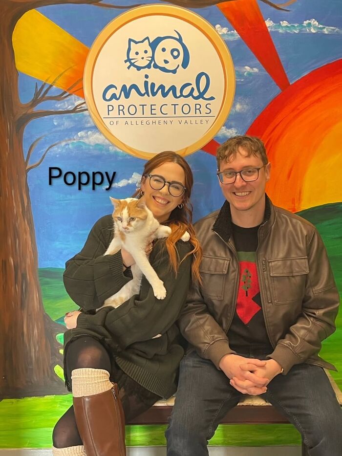 Dogs Pick Their Humans? This Shelter Made It Happen And It's Adorable (42 Pics + 1 Video)