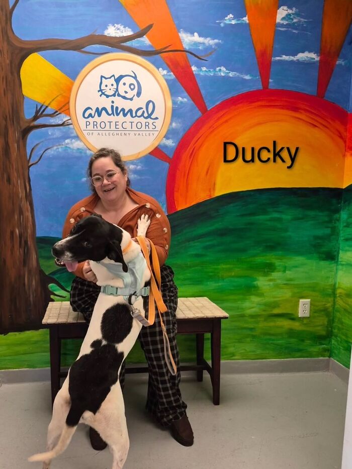 Dogs Pick Their Humans? This Shelter Made It Happen And It's Adorable (42 Pics + 1 Video)