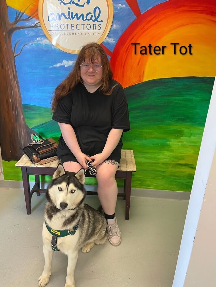 Dogs Pick Their Humans? This Shelter Made It Happen And It's Adorable (42 Pics + 1 Video)