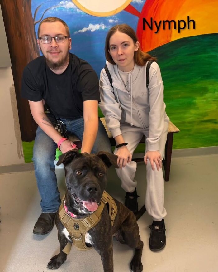 Dogs Pick Their Humans? This Shelter Made It Happen And It's Adorable (42 Pics + 1 Video)