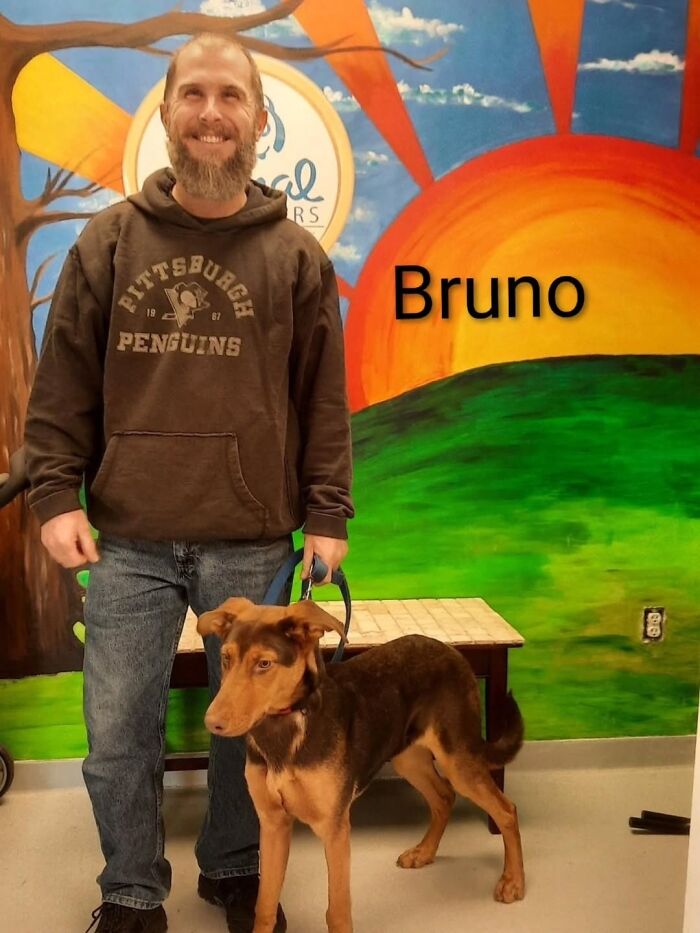 Dogs Pick Their Humans? This Shelter Made It Happen And It's Adorable (42 Pics + 1 Video)