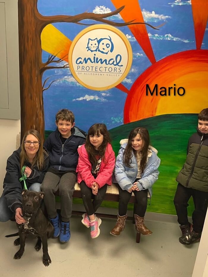 Dogs Pick Their Humans? This Shelter Made It Happen And It's Adorable (42 Pics + 1 Video)