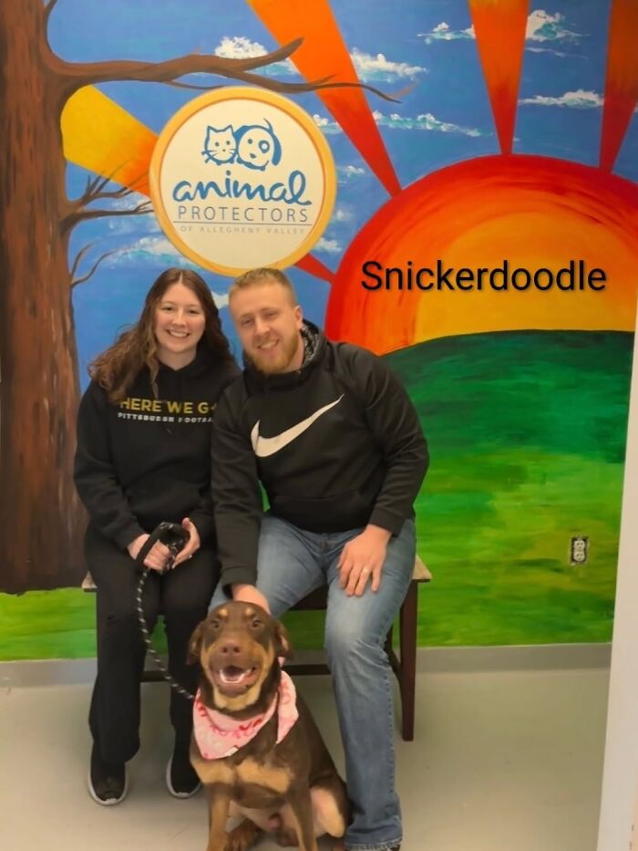 Dogs Pick Their Humans? This Shelter Made It Happen And It's Adorable (42 Pics + 1 Video)