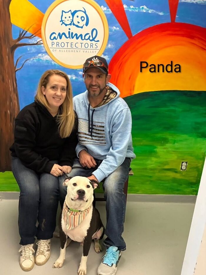 Dogs Pick Their Humans? This Shelter Made It Happen And It's Adorable (42 Pics + 1 Video)