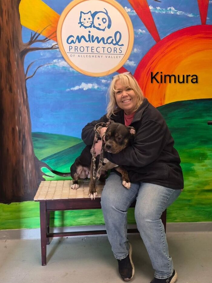 Dogs Pick Their Humans? This Shelter Made It Happen And It's Adorable (42 Pics + 1 Video)