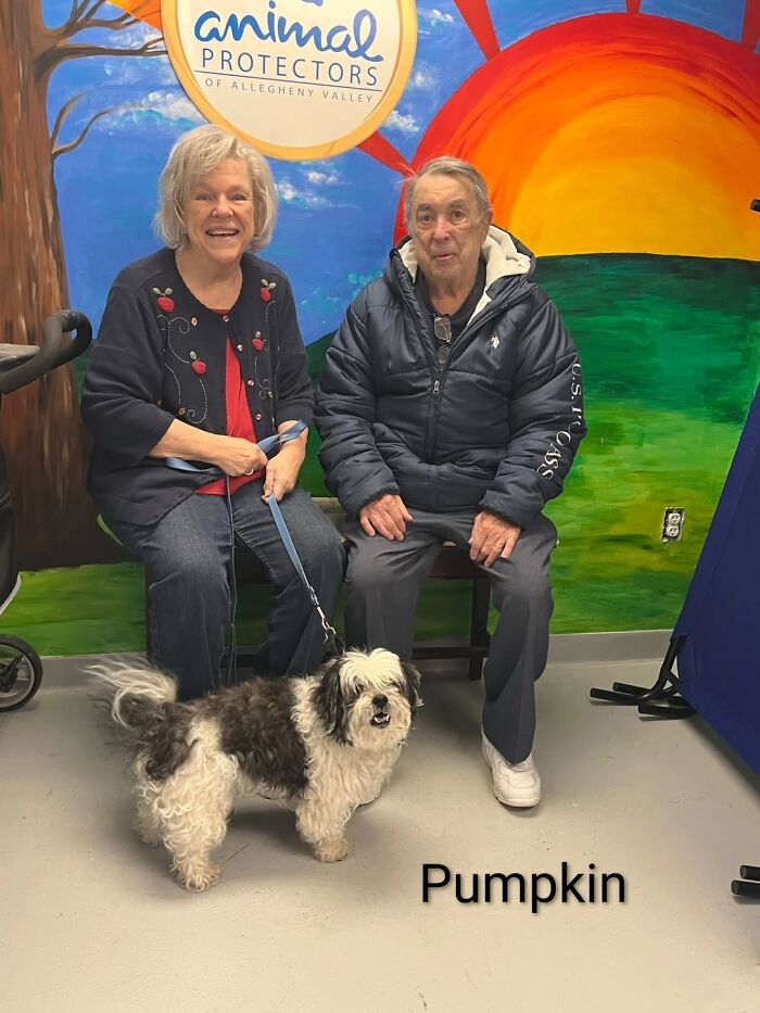 Dogs Pick Their Humans? This Shelter Made It Happen And It's Adorable (42 Pics + 1 Video)