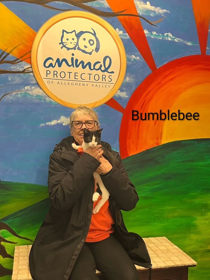 Dogs Pick Their Humans? This Shelter Made It Happen And It's Adorable (42 Pics + 1 Video)