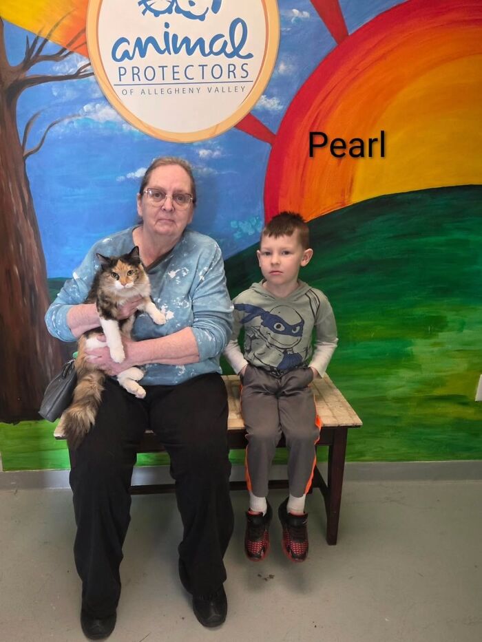 Dogs Pick Their Humans? This Shelter Made It Happen And It's Adorable (42 Pics + 1 Video)