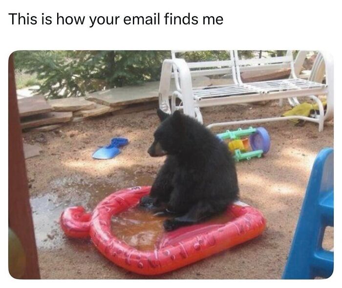 Let’s Dive Into 50 Animal Memes That Nailed It So Hard It’s Almost Unbelievable