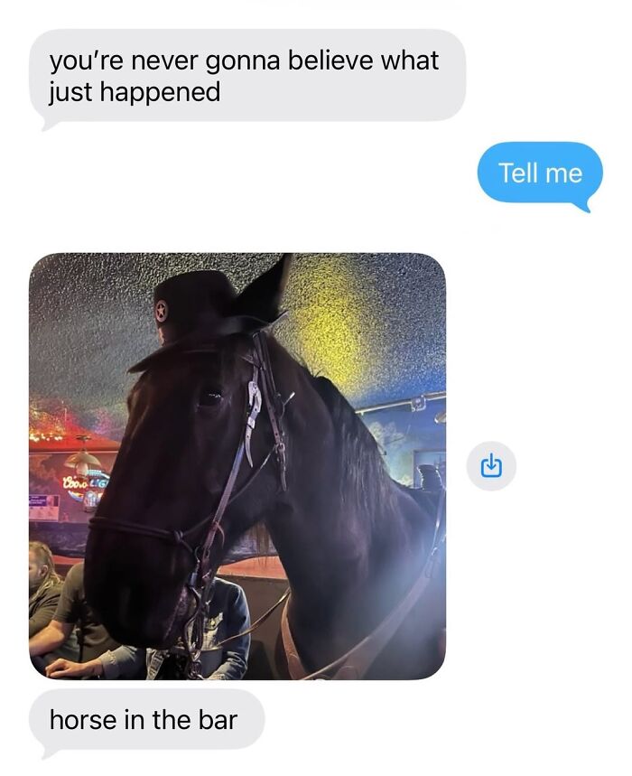 Let’s Dive Into 50 Animal Memes That Nailed It So Hard It’s Almost Unbelievable