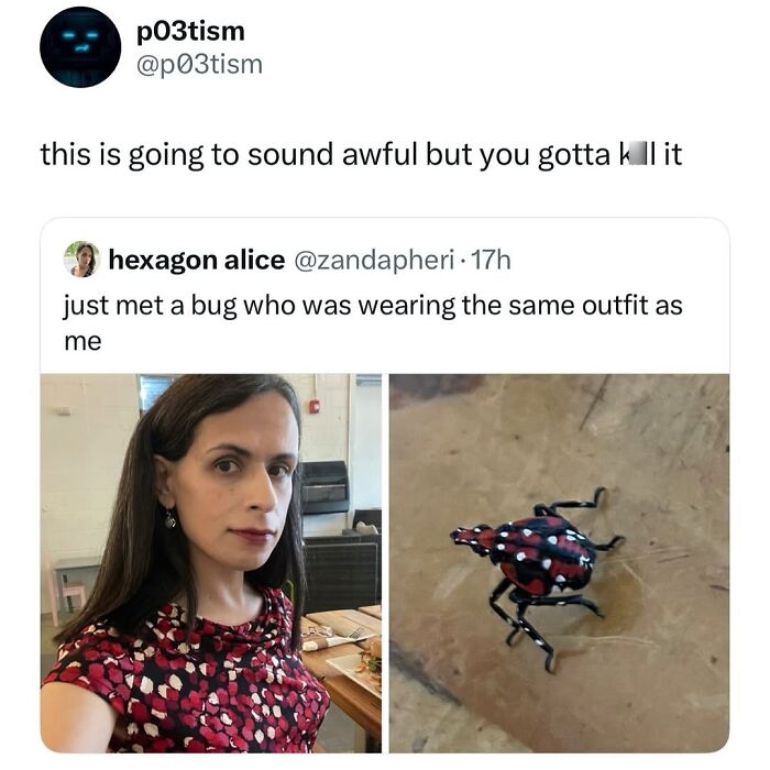 Let’s Dive Into 50 Animal Memes That Nailed It So Hard It’s Almost Unbelievable