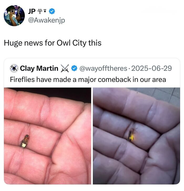 Let’s Dive Into 50 Animal Memes That Nailed It So Hard It’s Almost Unbelievable