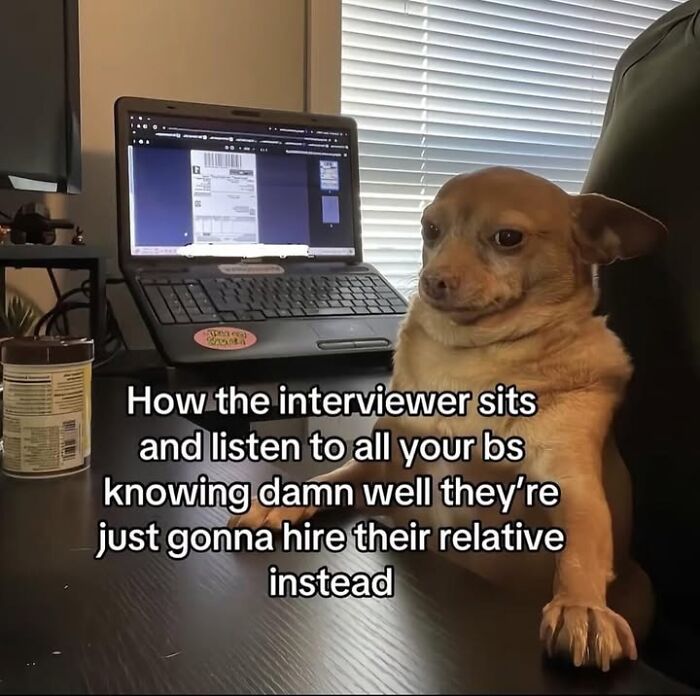 Let’s Dive Into 50 Animal Memes That Nailed It So Hard It’s Almost Unbelievable