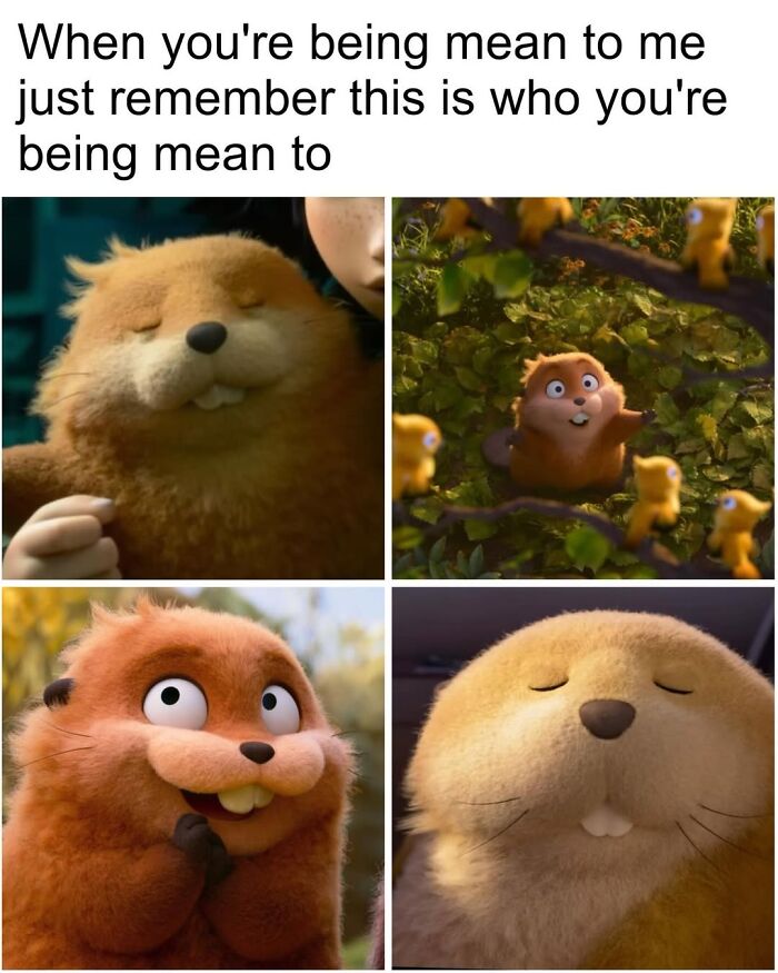 Let’s Dive Into 50 Animal Memes That Nailed It So Hard It’s Almost Unbelievable