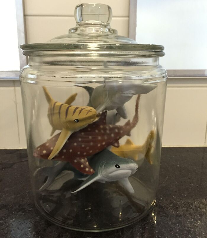 Wait Till You See These Grown Men Being Absolute Big Kids!