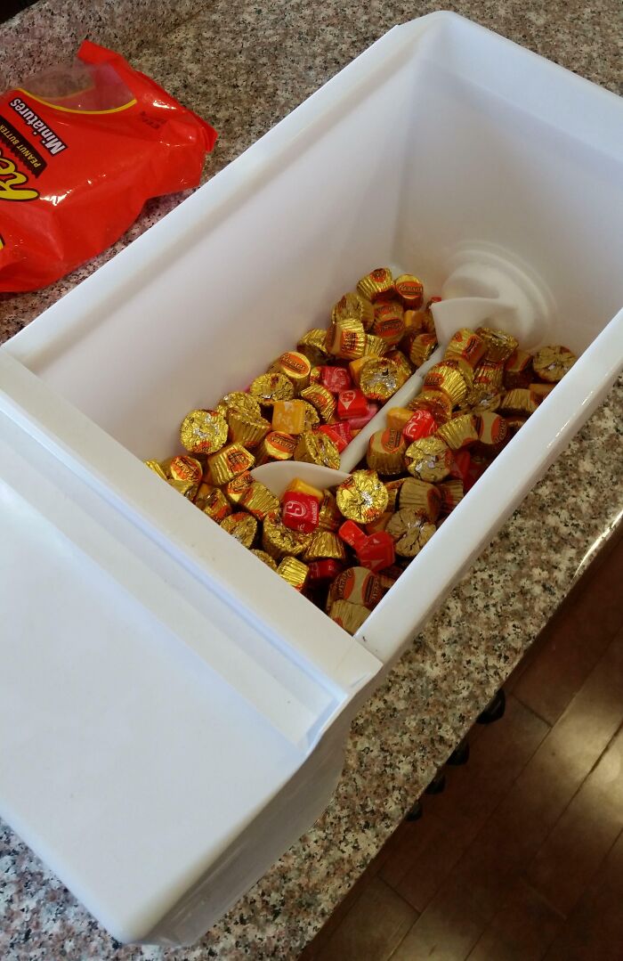 Wait Till You See These Grown Men Being Absolute Big Kids!