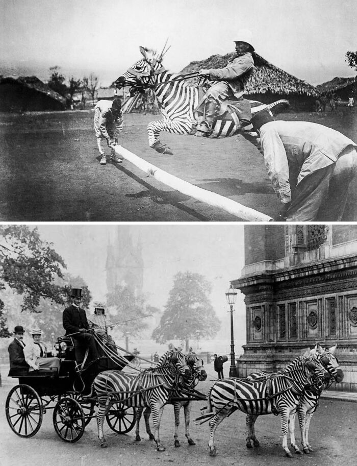 Wait, They Actually Archived All This Human History?