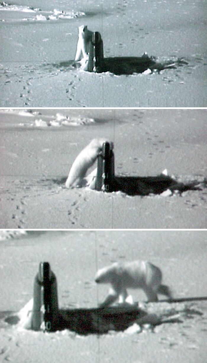 Wait, They Actually Archived All This Human History?