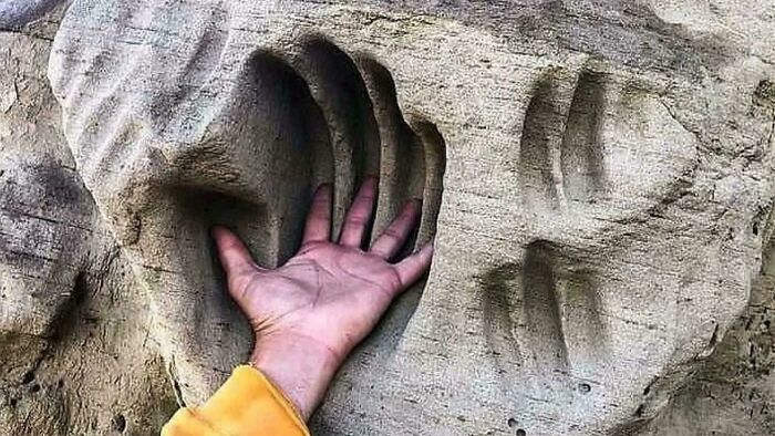 Wait, They Actually Archived All This Human History?