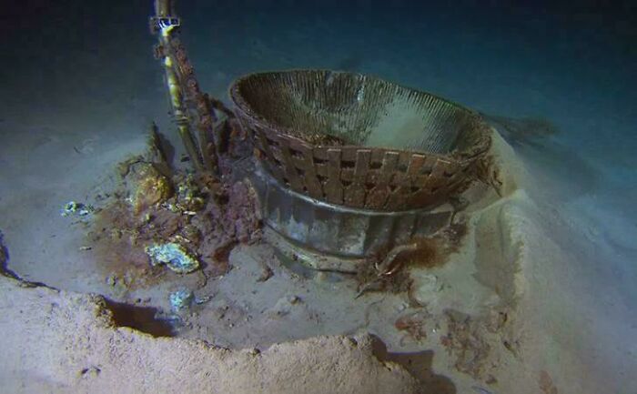 Wait, They Actually Archived All This Human History?