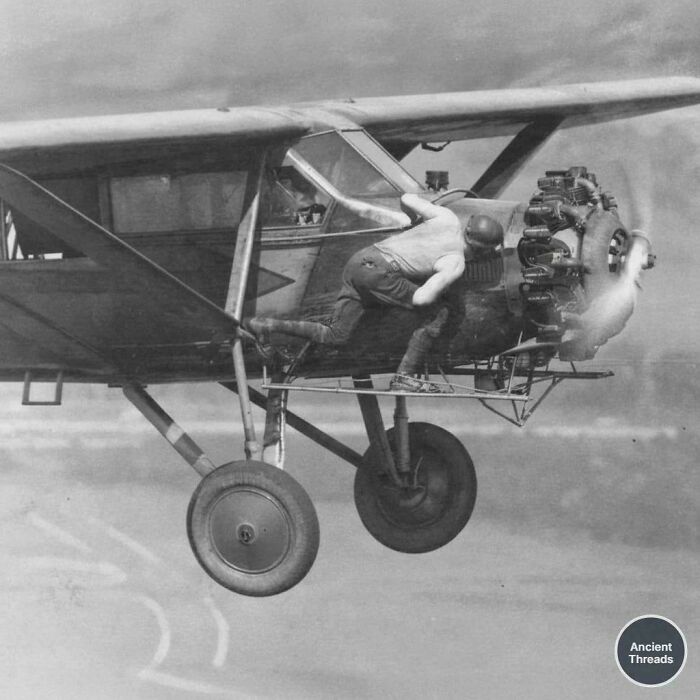 Wait, They Actually Archived All This Human History?