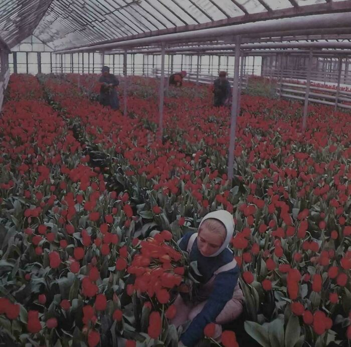 Wait, They Actually Archived All This Human History?