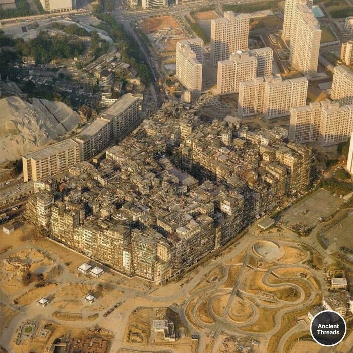 Wait, They Actually Archived All This Human History?