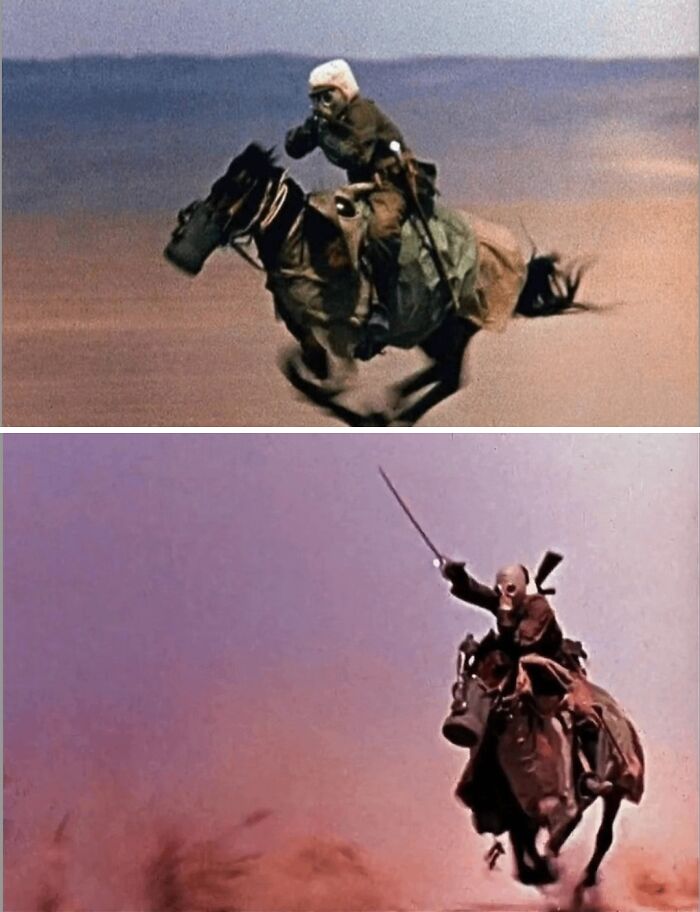 Wait, They Actually Archived All This Human History?