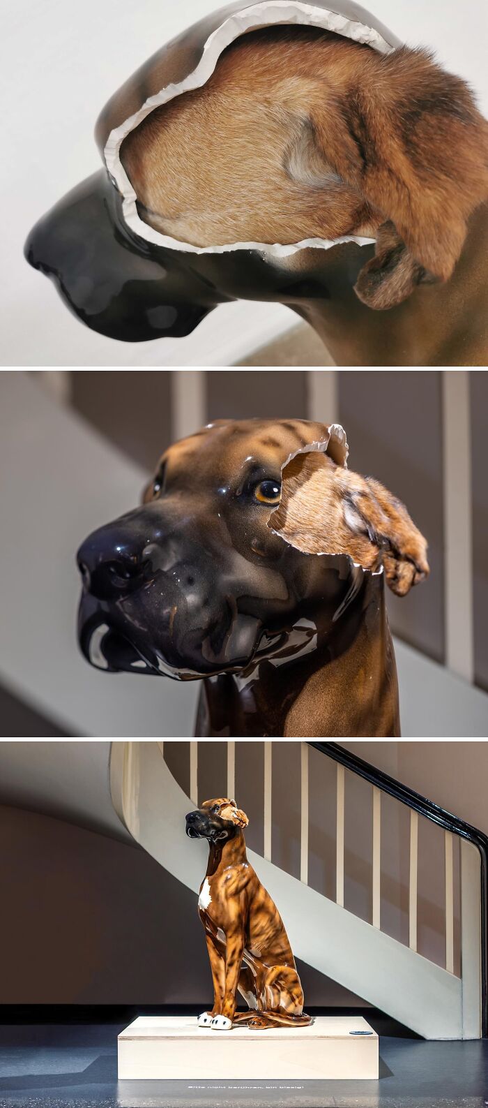 Sankt Bernetto, 2020