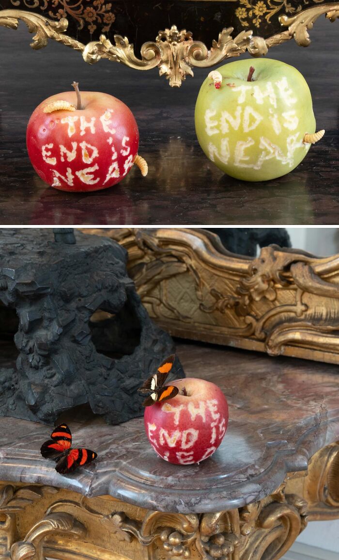 The End Is Near, 2024