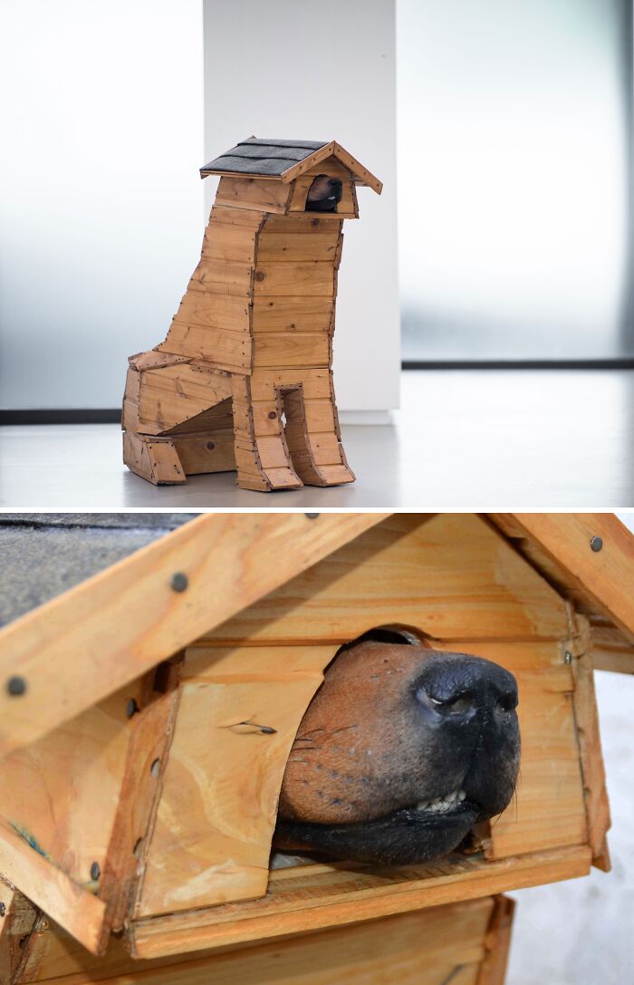 Home Sweet Home, 2014