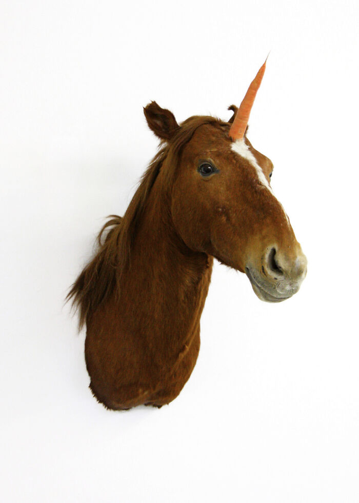 Nobody’s Perfect, 2011