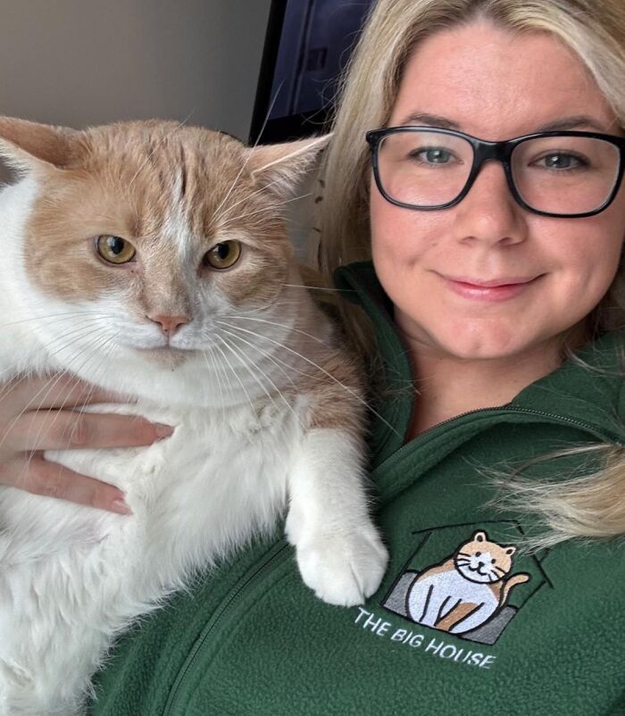 These Cats Got a Bounce Back From Chunk to Chunky Champ — Meet the Big House Cats!