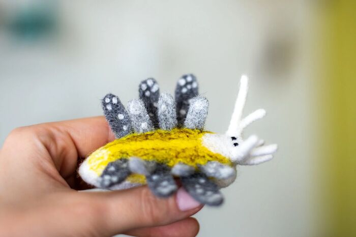 Cyerce Antillensis – The Frilly Showoff