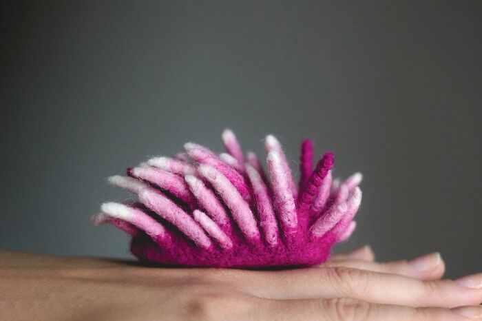 Okenia Rosacea – The Pink Puffball