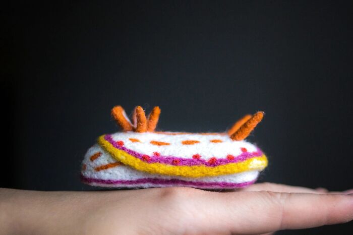 Hypselodoris Kaname – The Neon Dream