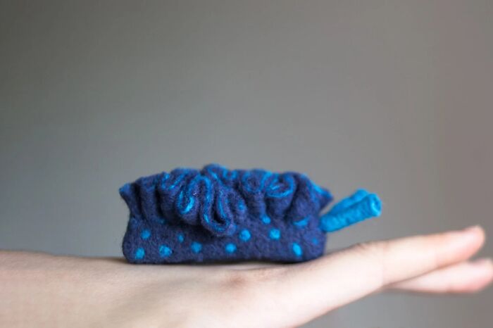 Elypsia Crispata (Blue) – The Ocean’s Ice Cube