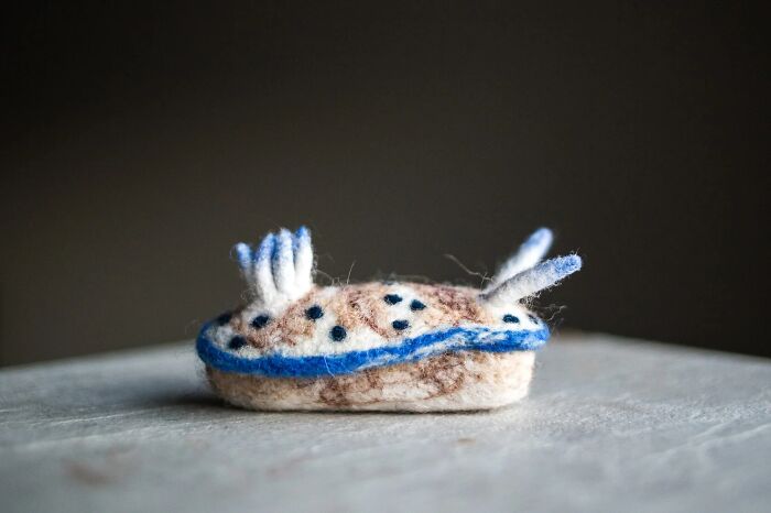 Hypselodoris Tryoni – The Purple Powerhouse