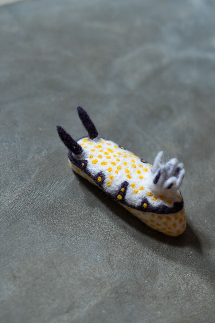 Hypselodoris Imperialis – The Royal Wool