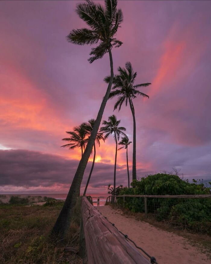 42 Beach Pics That’ll Have You Dreaming of Summer in 0.2 Seconds